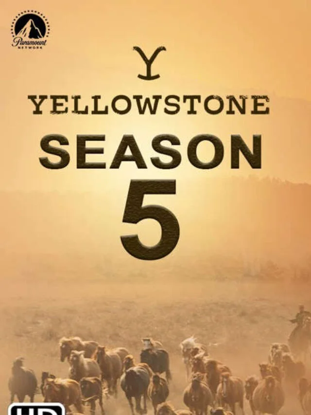 Get ready for Yellowstone season 5 with a recap of what to remember